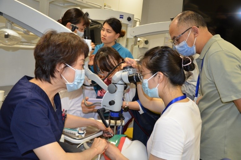 太阳集团口腔医院举办口腔显微镜应用技术护理研修班